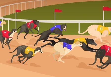 Greyhound betting tips – Free daily dog racing predictions